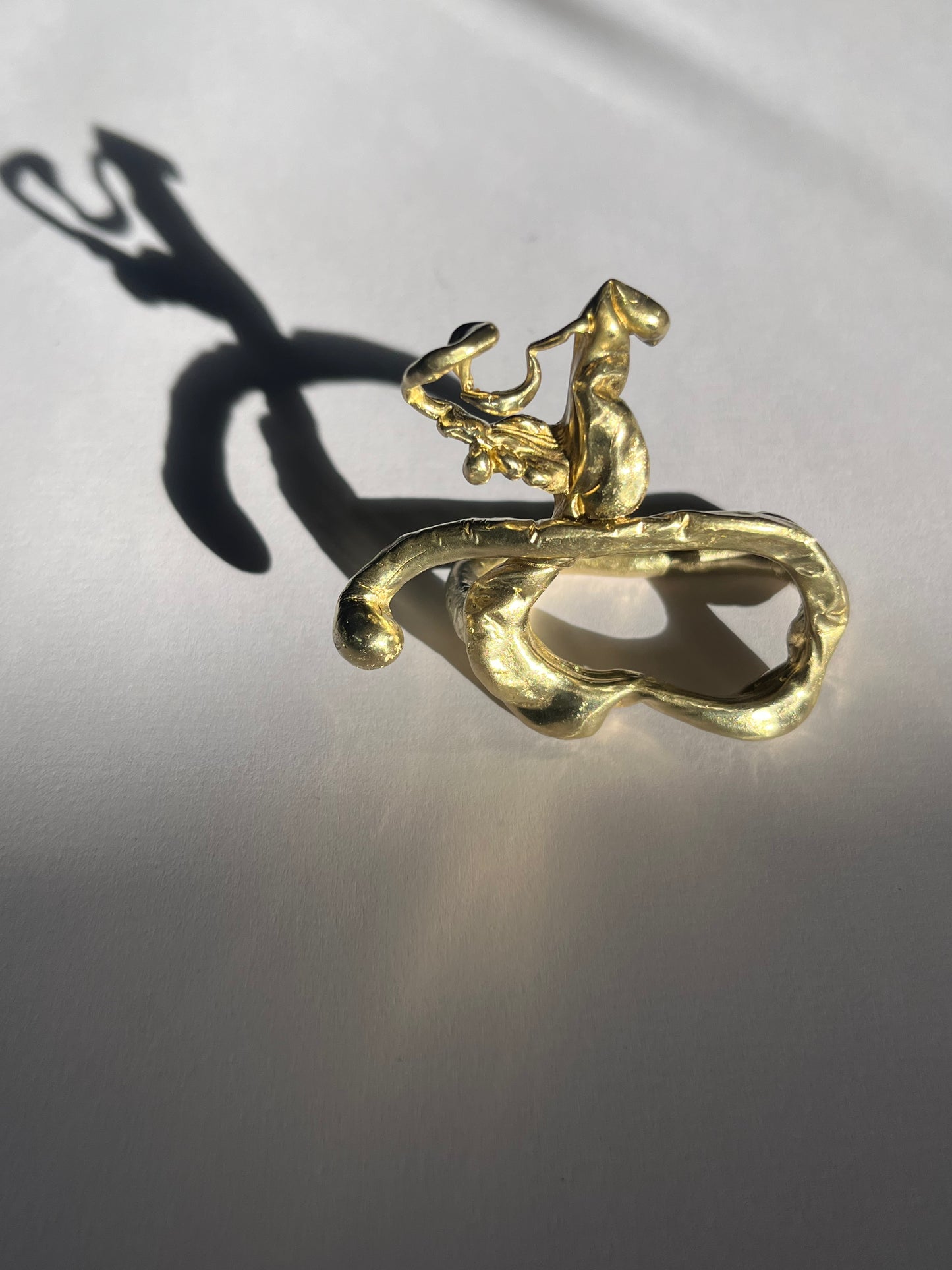 Anillo Two Fingers
