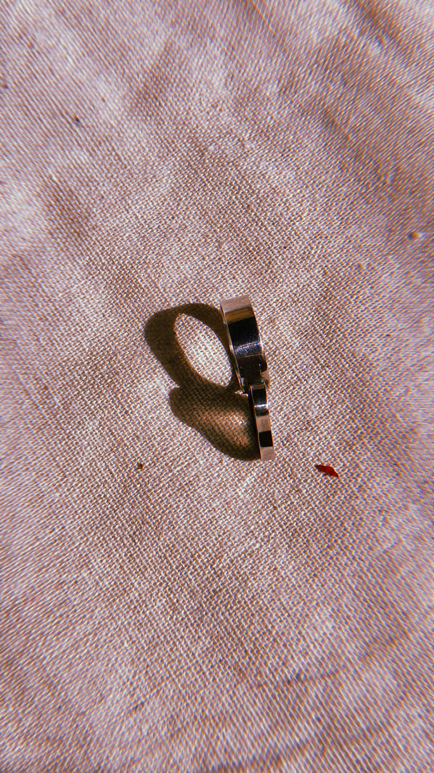Anillo Dendritas