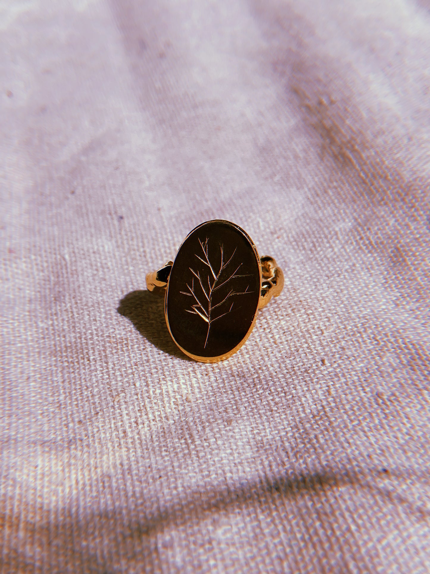 Anillo Raíces