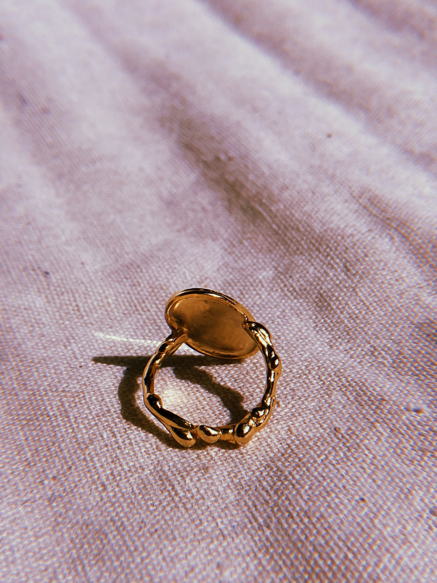 Anillo Raíces