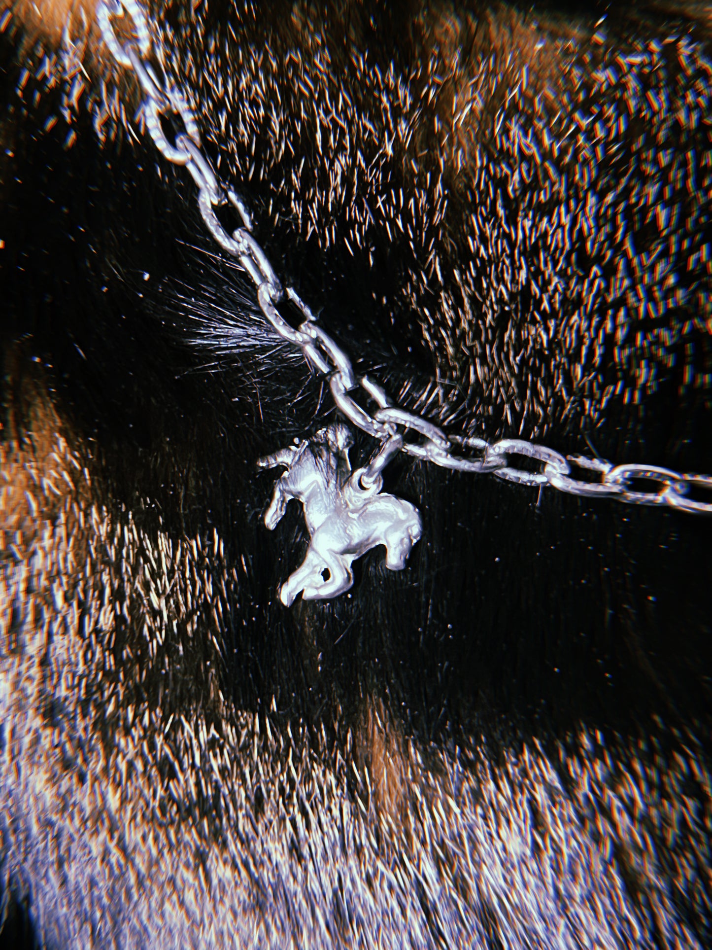 Caballo de fuego