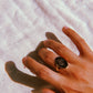 Anillo Raíces