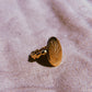Anillo Raíces