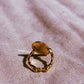 Anillo Raíces